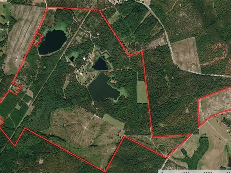 550 Acres of Recr : Cassatt : Kershaw County : South Carolina