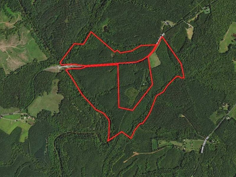 128 Acres of River : Brookneal : Campbell County : Virginia