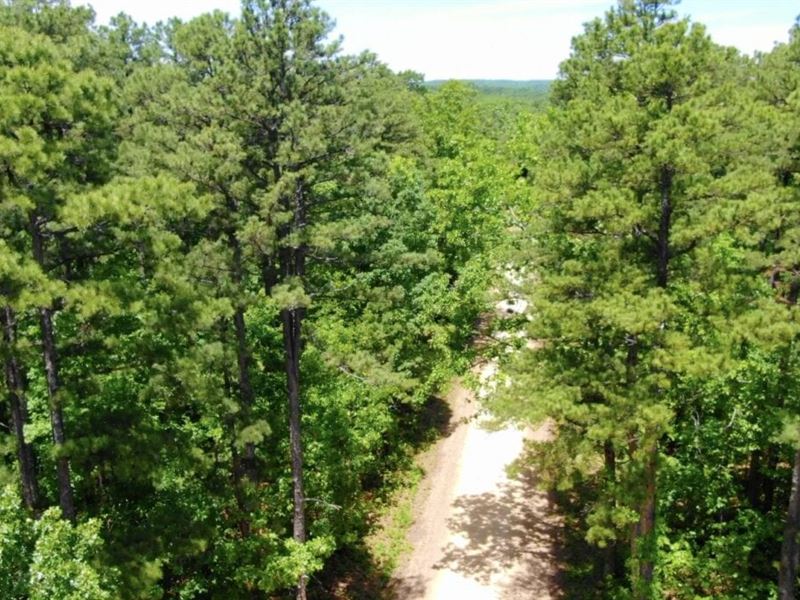 Owner Financed Tract On Ntl Forest : Rolla : Dent County : Missouri
