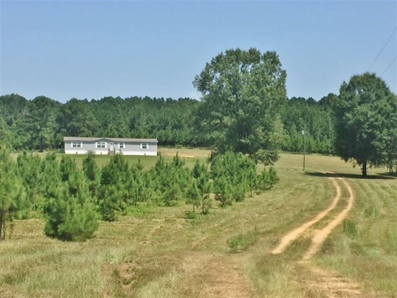 227 Cr Conerly Rd-Mh & 33 Acres : Kokomo : Marion County : Mississippi