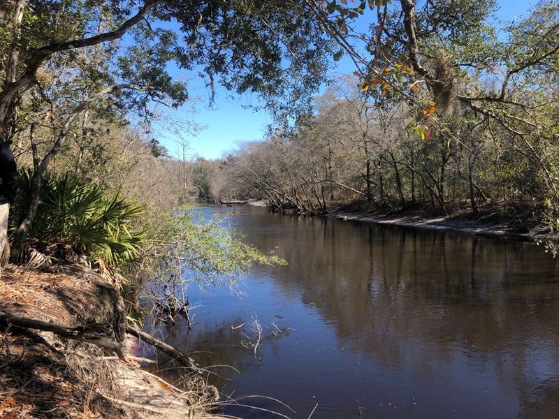 The Refuge On St Marys River : Saint George : Charlton County : Georgia