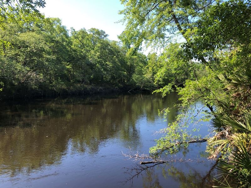 The Refuge On St Marys River : Saint George : Charlton County : Georgia
