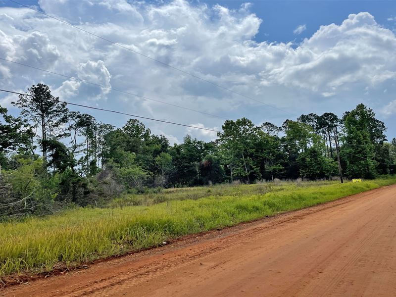 Brown Blankenship Road Tract : Citronelle : Mobile County : Alabama