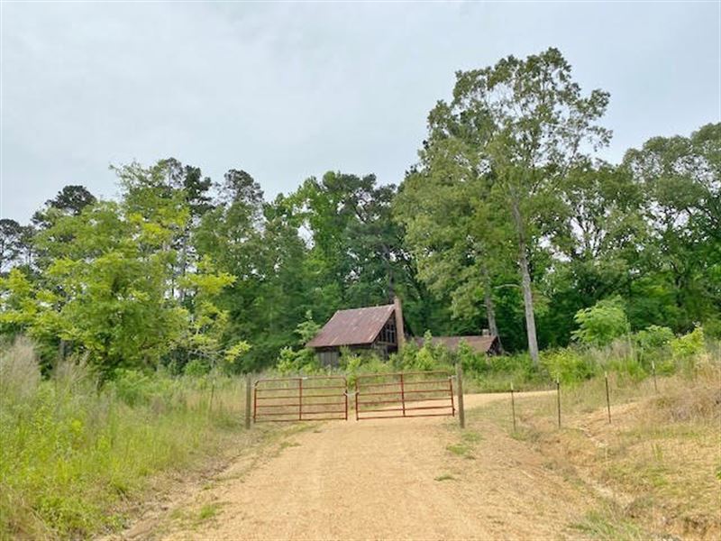 133 Acres, Fantastic Hunting : Monticello : Lawrence County : Mississippi