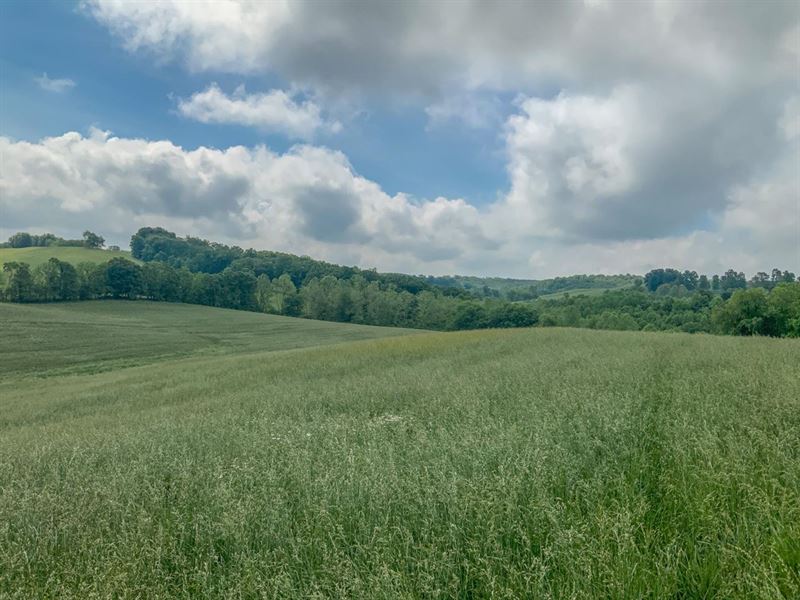 Sam Gilliland Rd, 67 Acres, Jacks : Oak Hill : Jackson County : Ohio
