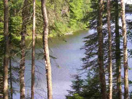 Lot 43C Fence Lake : Michigamme : Baraga County : Michigan