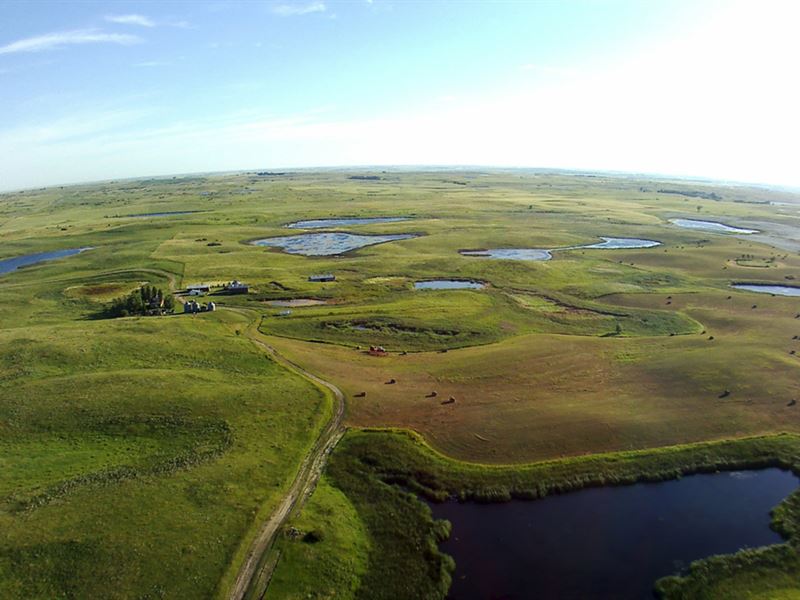 Prairie Smoke Hunting Ranch : McClusky : Sheridan County : North Dakota