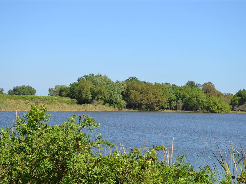 Rocker Farms Lake Wales : Lake Wales : Polk County : Florida