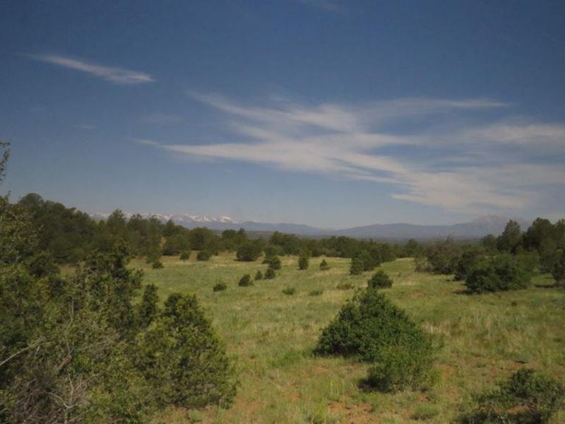 17 Primero Ranch : Weston : Las Animas County : Colorado