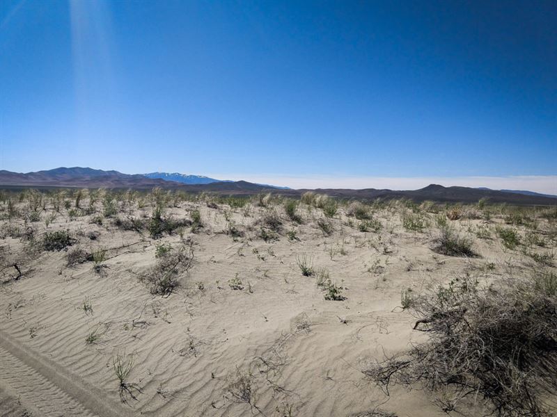 40 Acre Property in Humboldt County : Winnemucca : Humboldt County : Nevada