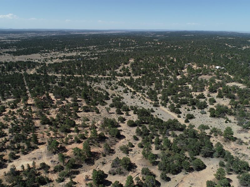 13 Ac in The Candy Kitchen of NM : Ramah : Cibola County : New Mexico