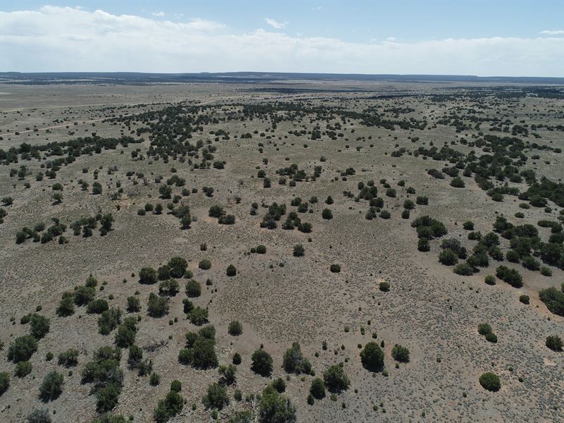 40 Off Grid Acres in Cibola County : Fence Lake : Cibola County : New Mexico