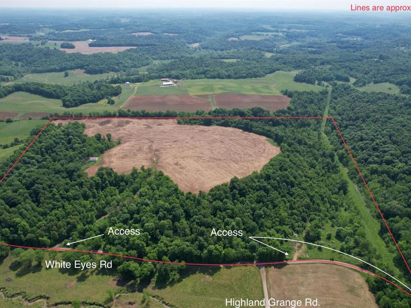 White Eyes Rd, 74 Acres, Muskingu : New Concord : Muskingum County : Ohio