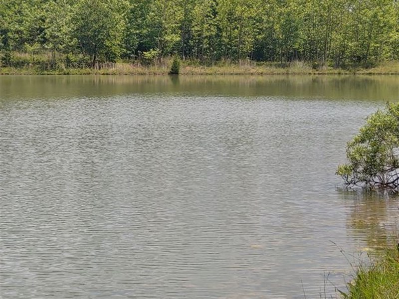 Land for Sale in Southern Missouri : West Plains : Howell County : Missouri