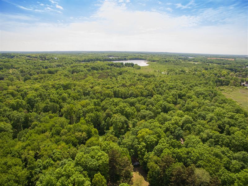 Wooded Vacant Land : Onsted : Lenawee County : Michigan