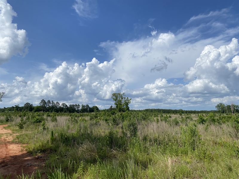 Good Homesite Near Lake Harding : Beulah : Lee County : Alabama
