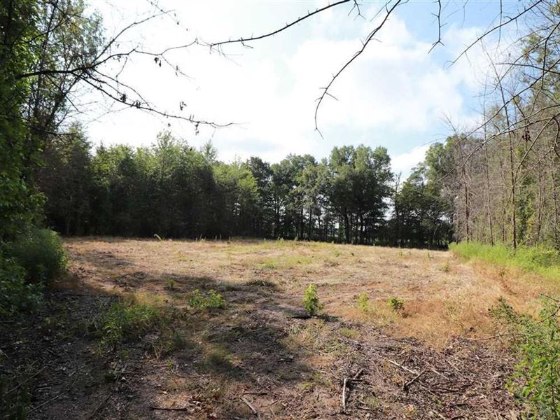 16 Acres on Crooked Creek & Hig : Humnoke : Lonoke County : Arkansas