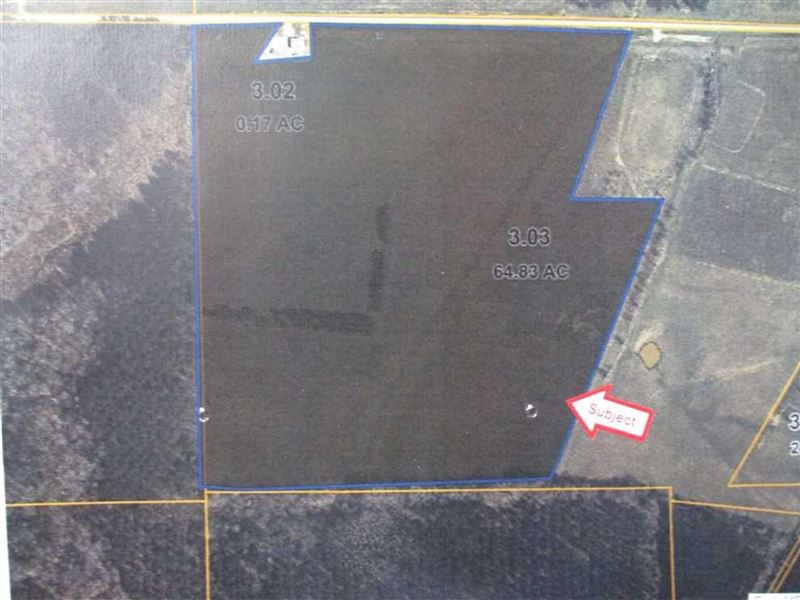 Pastureland in Thaxton, Mississippi : Thaxton : Pontotoc County : Mississippi