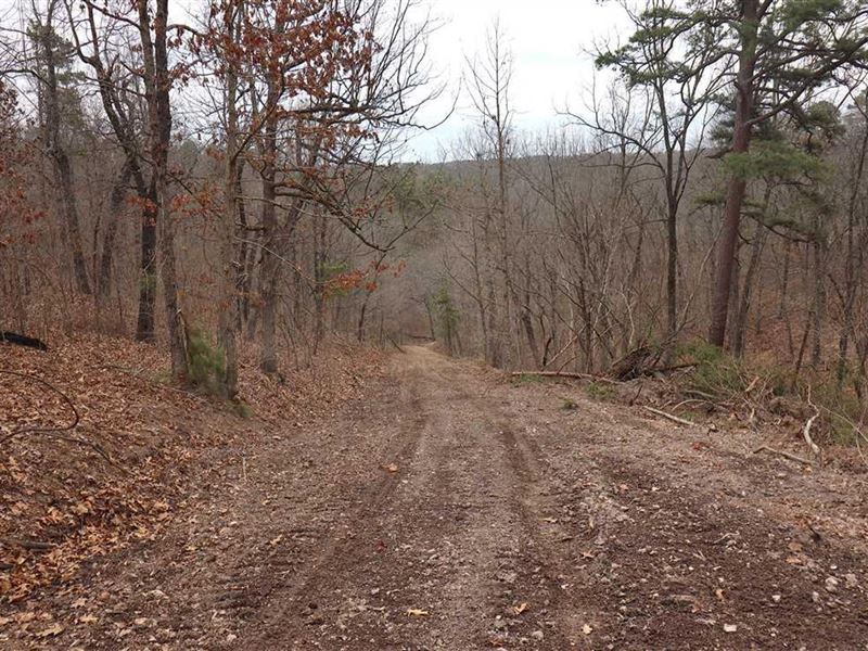 Eureka Springs 34.28 Acres Tract : Eureka Springs : Carroll County : Arkansas