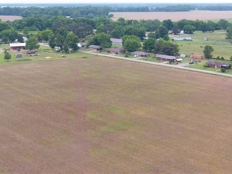 Watson 167 : Watson : Desha County : Arkansas