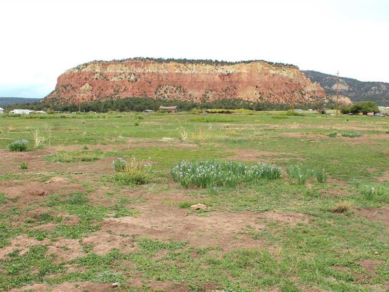 Capulin River Farm : Gallina : Rio Arriba County : New Mexico