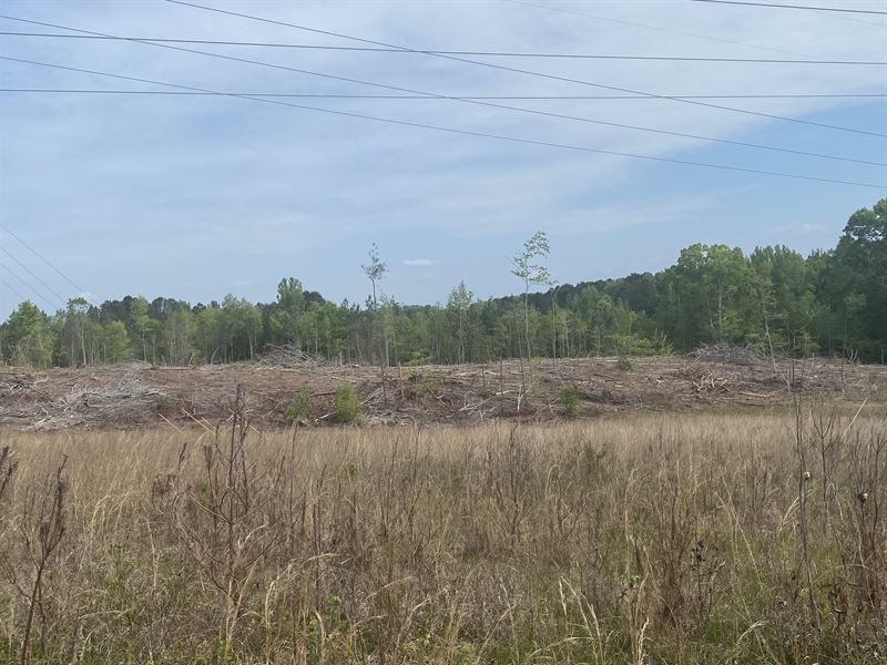 95.05 Acres Edwards Road : Douglasville : Douglas County : Georgia