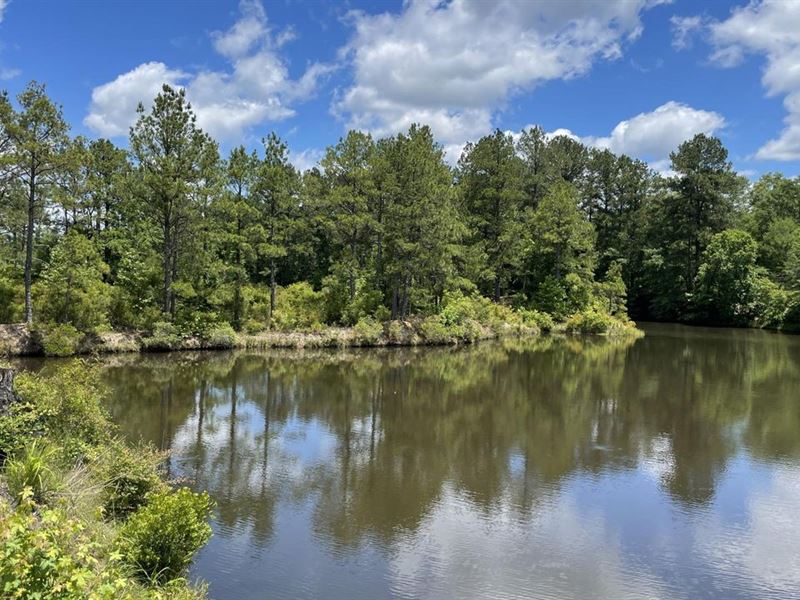 Hampton Rec Tract : Hampton : Calhoun County : Arkansas