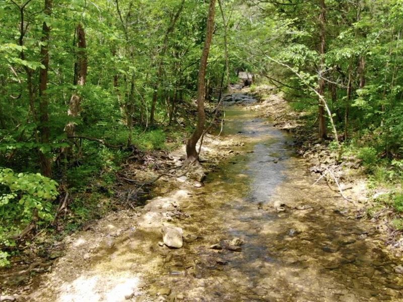 $1500 Down On Hunting Tract : Ava : Douglas County : Missouri