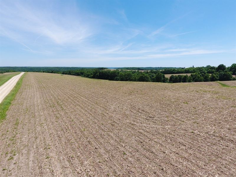 101.71 Ac, Pine Lane : Hillsboro : Vernon County : Wisconsin
