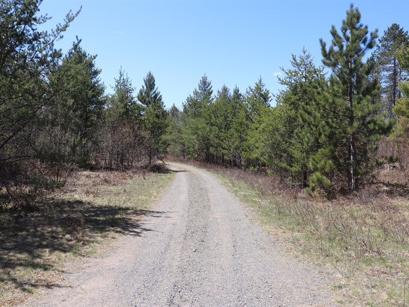 South Sidnaw : Sidnaw : Houghton County : Michigan
