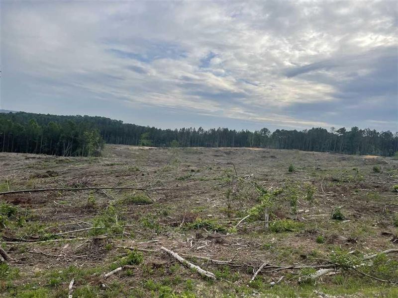92 Acres Chambers Road Build Site : Double Springs : Winston County : Alabama