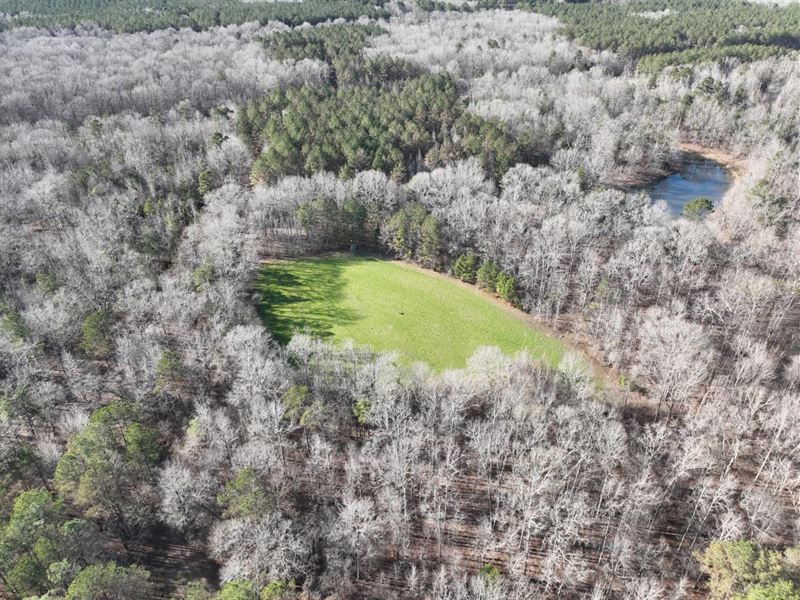 2,060 Acre Recreational/Timber Trac : West Point : Clay County : Mississippi