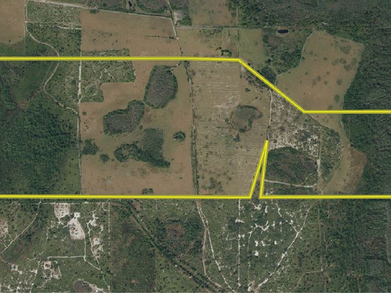 St. Cloud Recreational Acreage : Saint Cloud : Osceola County : Florida