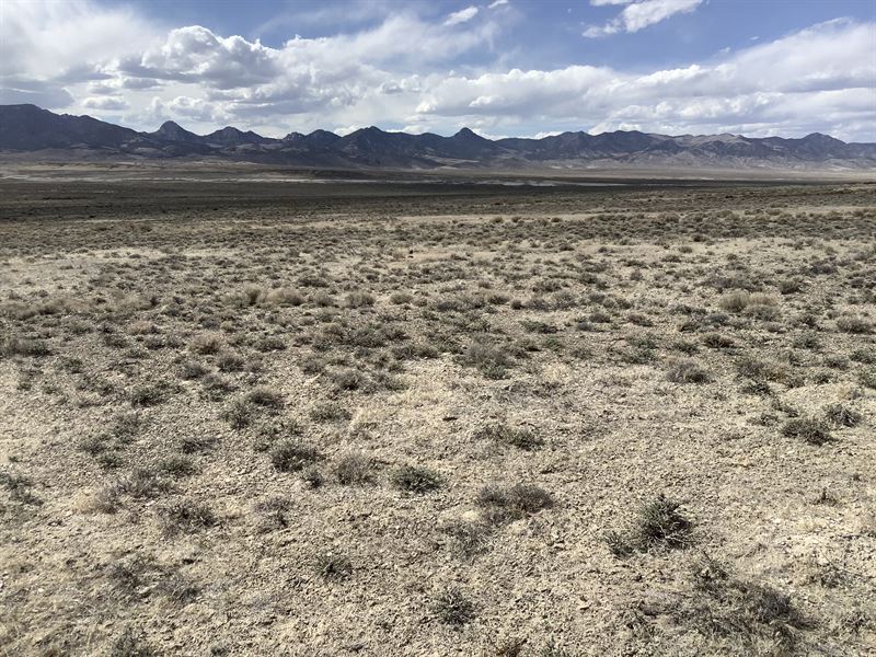 Beautiful 80Ac Recreation Property : West Wendover : Elko County : Nevada