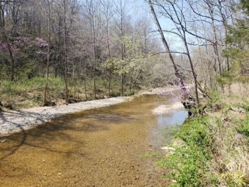 Land in Ozarks with No Restrictions : Mountain Grove : Texas County : Missouri