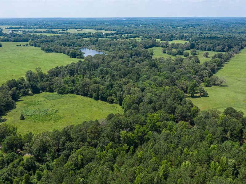 East Texas Farm Land with Lake : Troup : Cherokee County : Texas