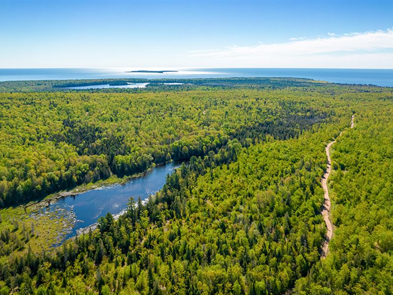 Keweenaw Heartlands : Bete Grise : Keweenaw County : Michigan