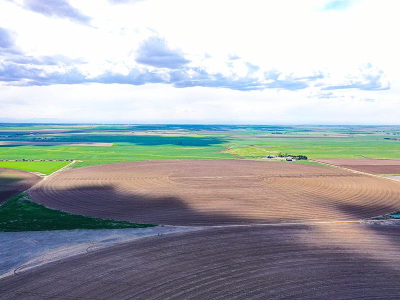 Keenesburg 146 : Keenesburg : Weld County : Colorado