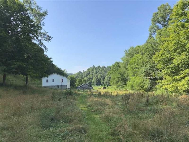 SR 233, 57 Acres, Gallia County : Patriot : Gallia County : Ohio
