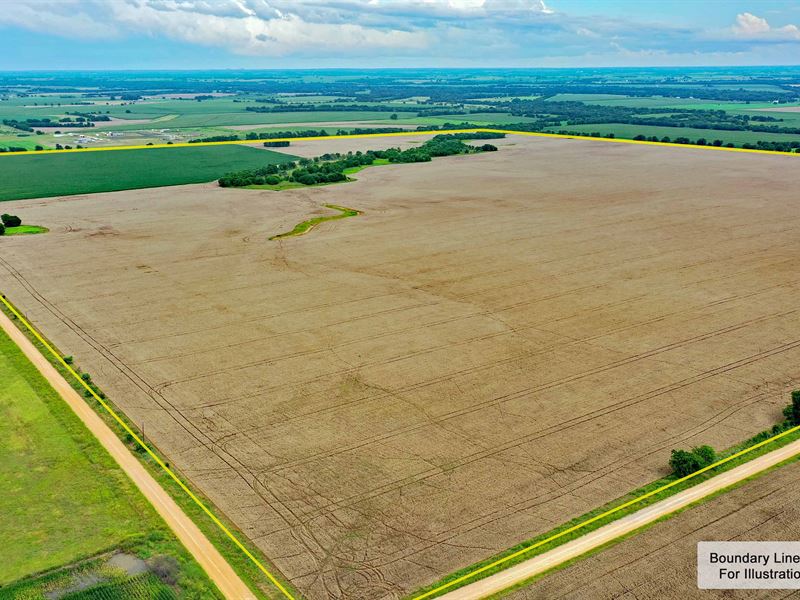 320 Acre Farm Near Granger : Thorndale : Milam County : Texas