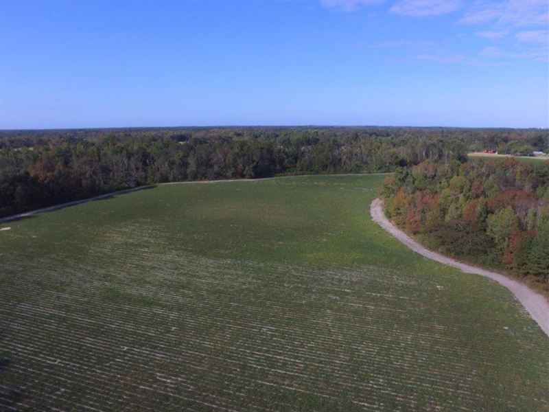 Great Farm with Natural Woodlands : Ashford : Houston County : Alabama