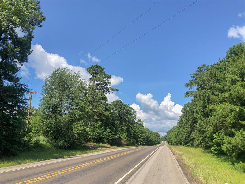 304 Acres, Hwy 190 : Woodville : Tyler County : Texas