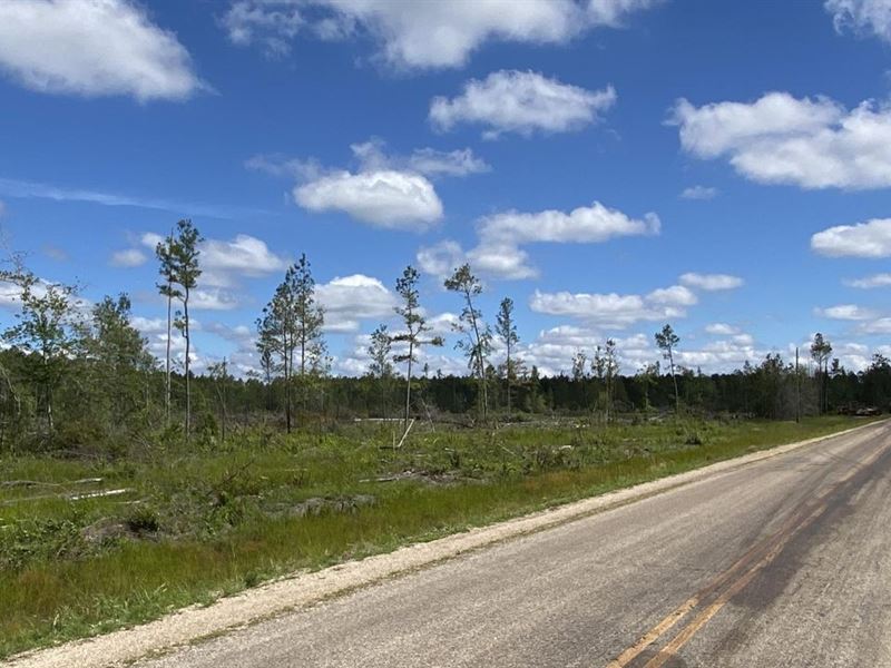 40.98 Acres Hampton, AR : Hampton : Calhoun County : Arkansas