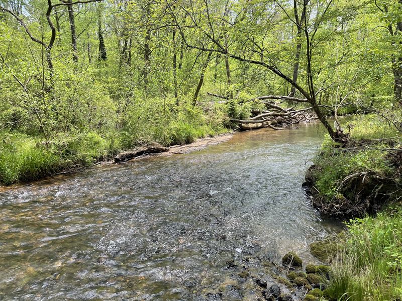 172 +/- Ac Wooded Bartow County, GA : Kingston : Bartow County : Georgia