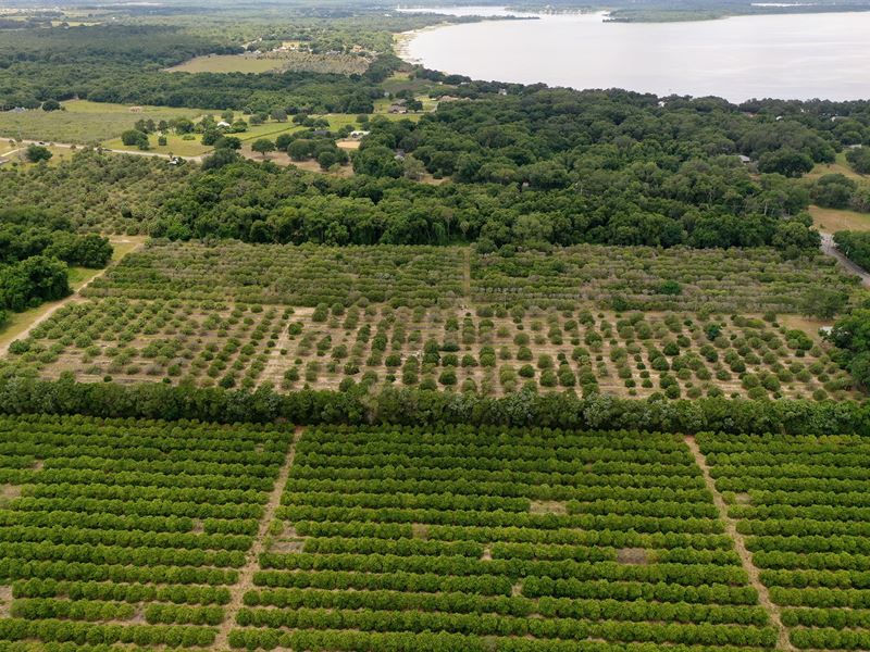 Marion County Acreage, Ranch for Sale in Florida, 283001 RANCHFLIP