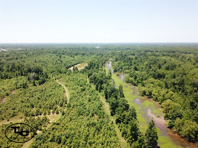 River Wood Farm : Livingston : Sumter County : Alabama