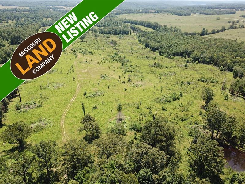 Hawkins Ridge 80 : Bakersfield : Ozark County : Missouri