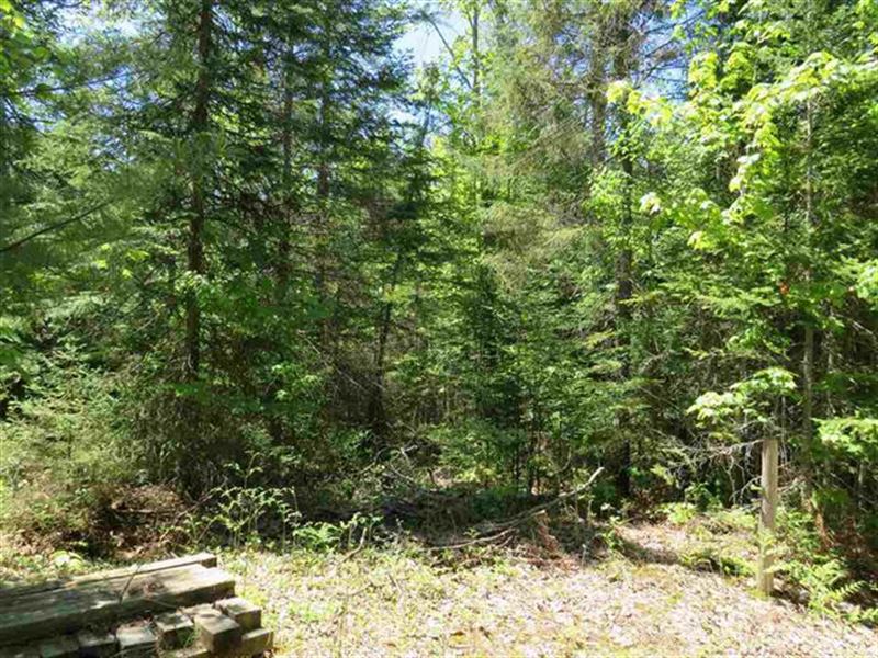 Geodesic Dome Cabin on 40 Ac : Naubinway : Mackinac County : Michigan