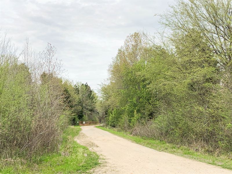 99 Acres, Maya 1004 Tract 18 : De Kalb : Bowie County : Texas