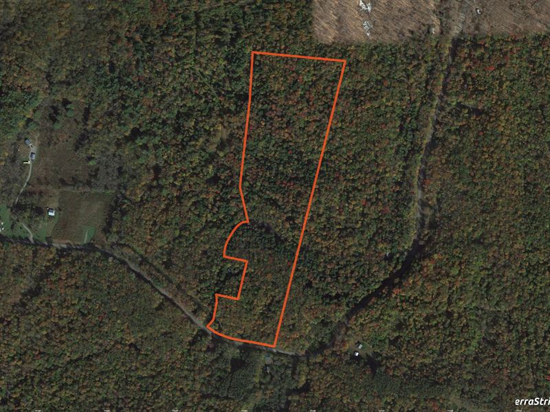 Building Lot Near Salmon River : Redfield : Oswego County : New York